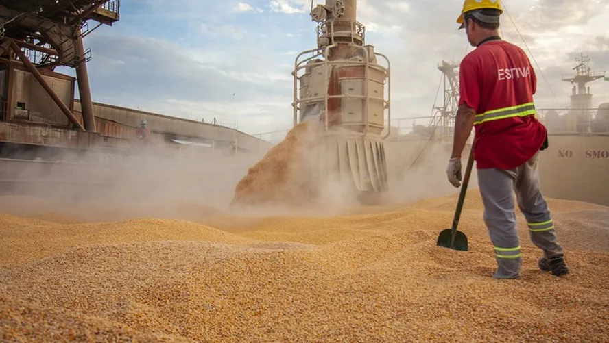China deve ampliar compra de milho do Brasil e do Tocantins, diz presidente da Câmara de Comércio